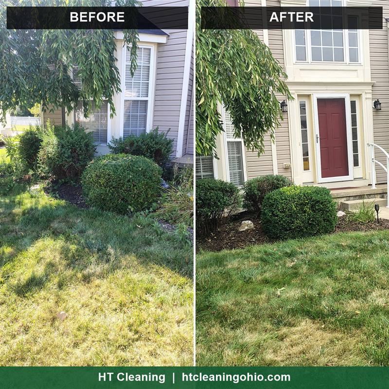 Before and after: shrubs trimmed and front beds refreshed with mulch
