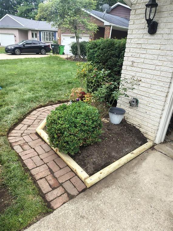 Garden bed with brick edging around shrubs