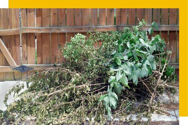 Pile of branches and brush ready for removal