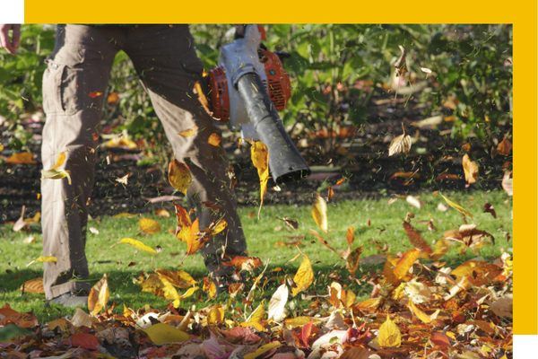 HT Cleaning worker using a leaf blower on a lawn