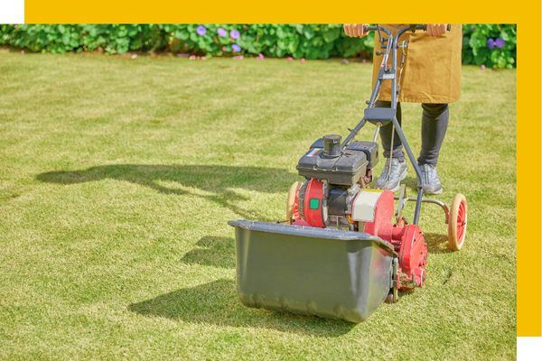 Lawn mowing service